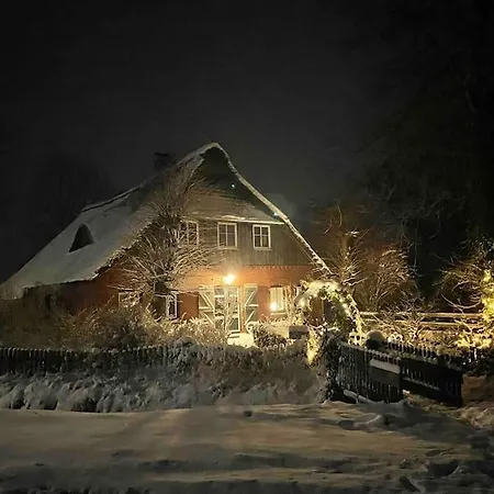 Reetdachhaus, Wilstermarsch Villa Landscheide Eksteriør billede