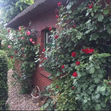 Reetdachhaus, Wilstermarsch Villa Landscheide Eksteriør billede
