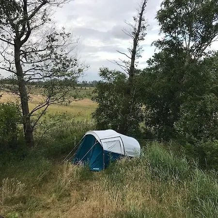 Reetdachhaus, Wilstermarsch Villa Landscheide Eksteriør billede