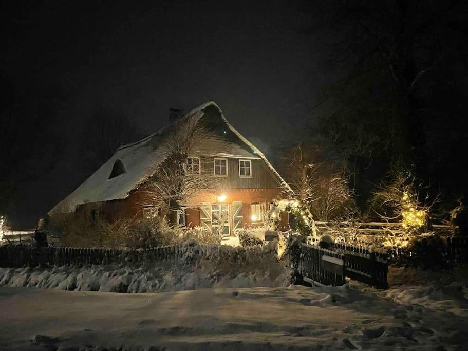 Reetdachhaus, Wilstermarsch