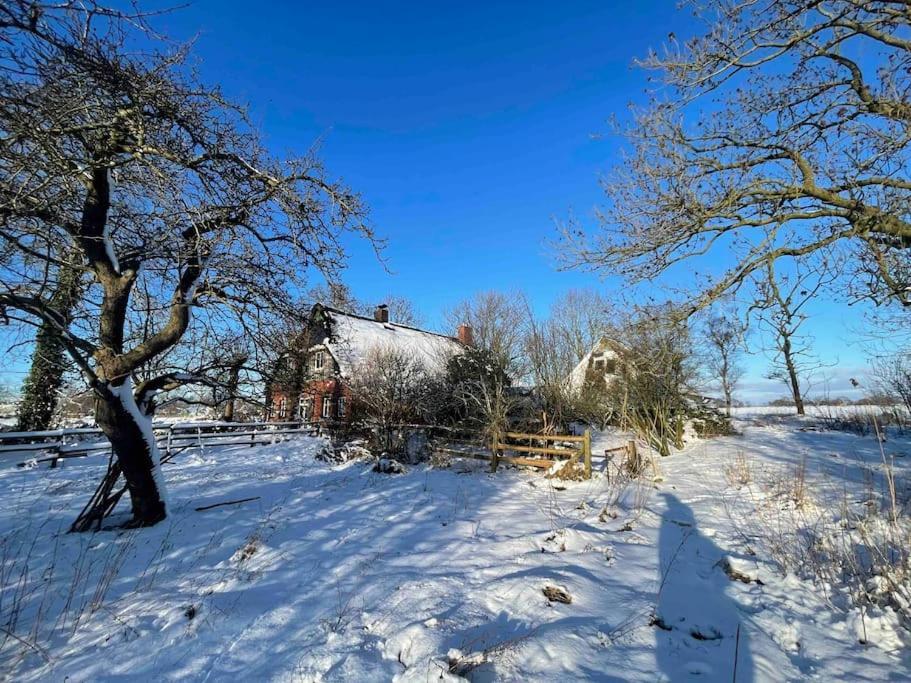 Holiday home Reetdachhaus, Wilstermarsch Landscheide